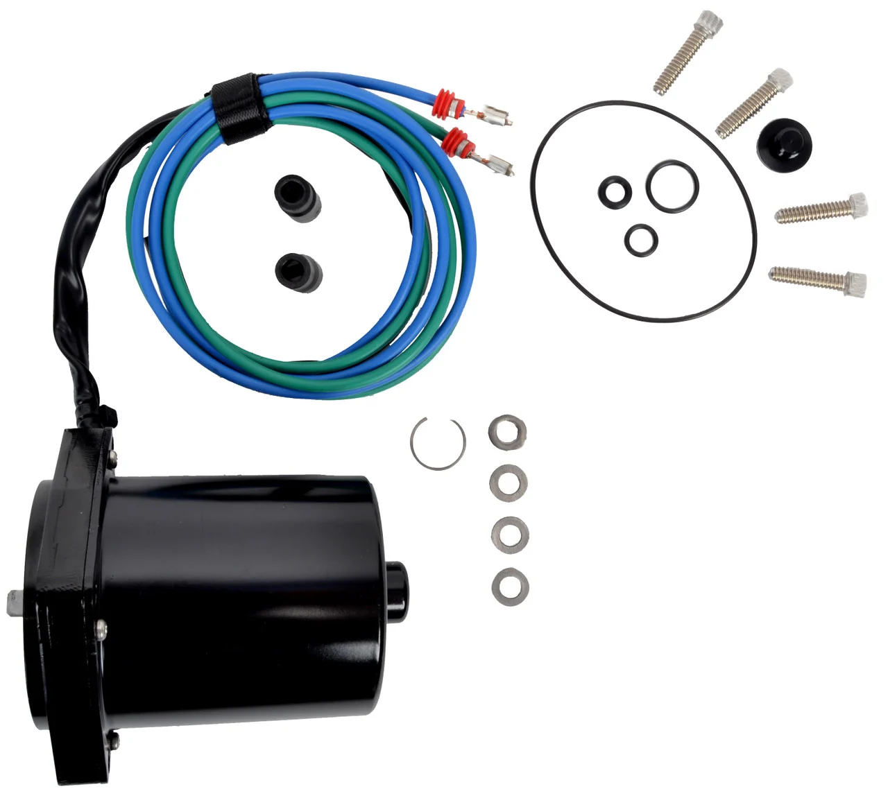 Brp - T & T Motor - Brp (5006319)