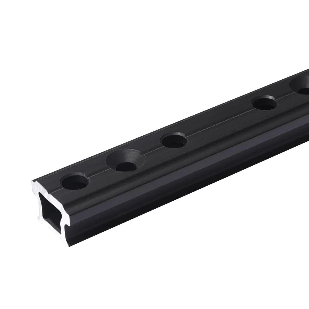 Antal BB Track 31X21 Stop Pin Holes L=1000