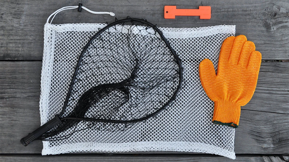 Basic Lobster Kit