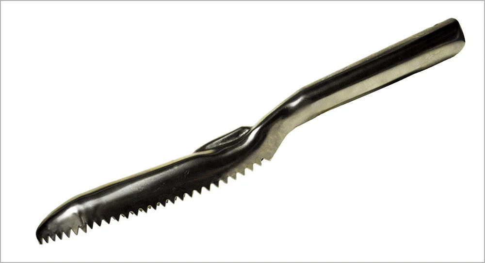 Fish Scaler