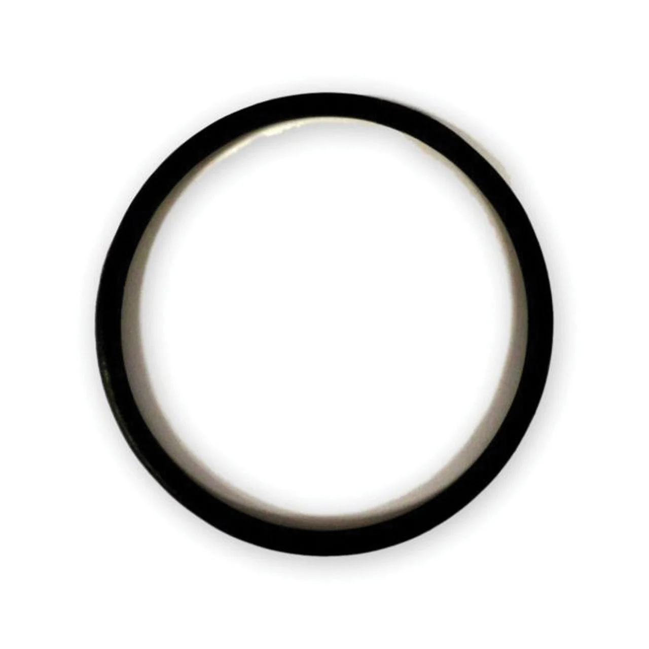 WaterPur 10-CLW CANISTER O-RING ONLY Replacement O-Ring - A4125