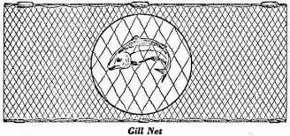 Nylon Gillnet Netting No.104 (210/4)x2-1/2"x200yards